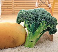 创意设计之蔬菜抱枕