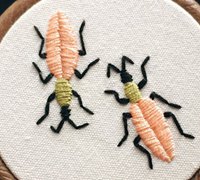 直线绣和缎面绣绣出可爱的甲虫